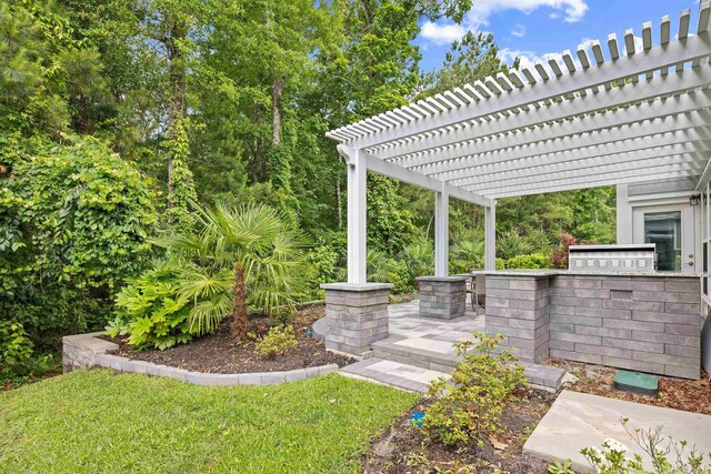 1290 Prescott Cir, Myrtle Beach, SC 29577 - view of yard with an outdoor kitchen and a pergola