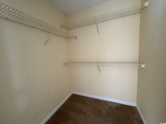 3761 Citation Way Unit 531, Myrtle Beach, SC 29577 - spacious closet featuring dark colored carpet