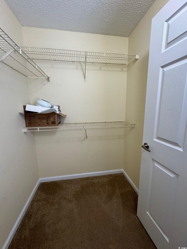 3761 Citation Way Unit 531, Myrtle Beach, SC 29577 - walk in closet featuring carpet