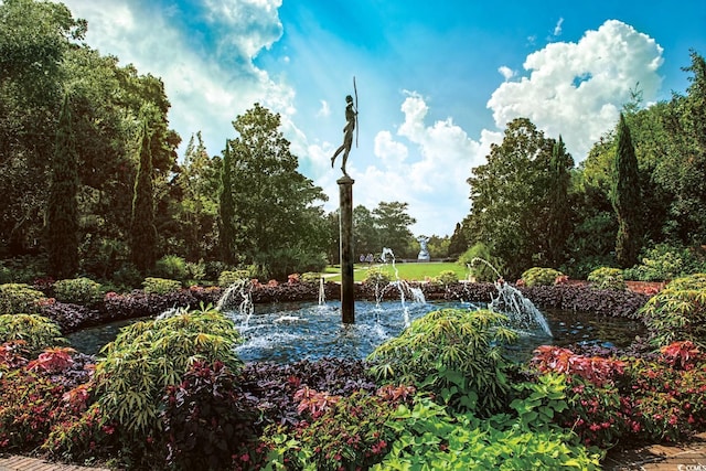 view of home's community featuring a garden pond