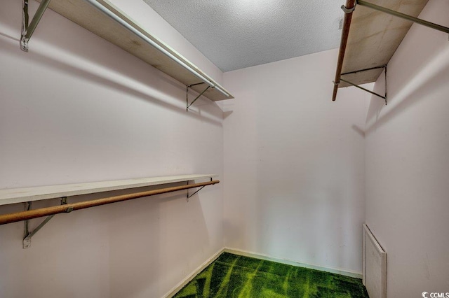 2010 Ye Olde Kings Hwy, North Myrtle Beach, SC 29582 - spacious closet with dark colored carpet