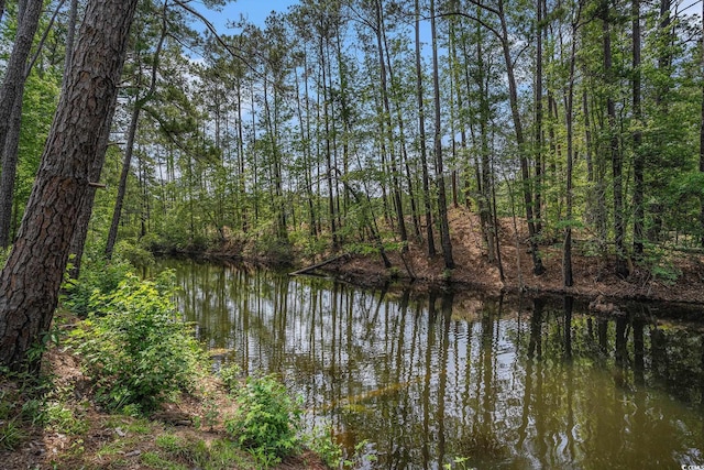 water view with a forest