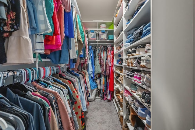 3620 Diamond Stars Way, Little River, SC 29566 - spacious closet with carpet floors