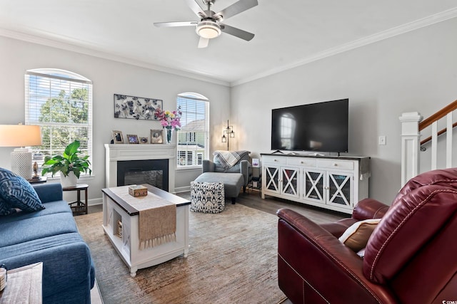 815 Murray Ave, Myrtle Beach, SC 29577 - living room featuring crown molding, ceiling fan, a fireplace, and wood finished floors