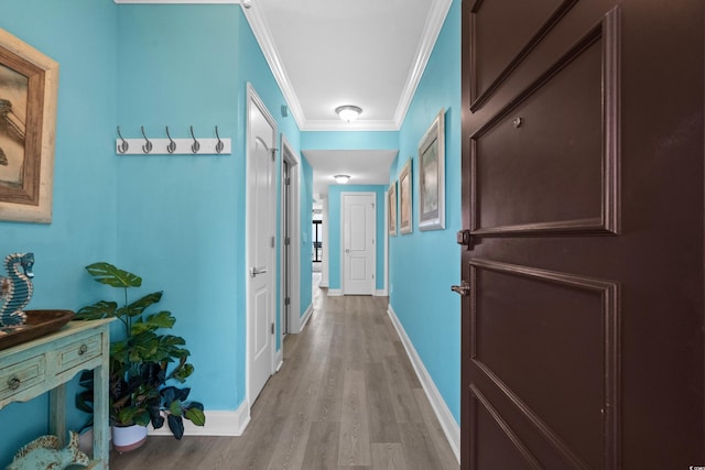 100 N Beach Blvd Unit 515, North Myrtle Beach, SC 29582 - hall featuring light wood-style floors and ornamental molding