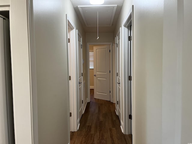 505 1st Ave S, North Myrtle Beach, SC 29582 - hall featuring attic access and dark wood-style floors
