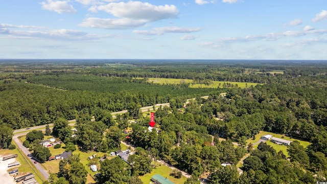 62 Warbler St, Georgetown, SC 29440 - aerial view of property's location with a forest