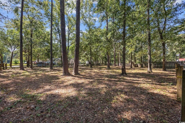 62 Warbler St, Georgetown, SC 29440 - view of yard