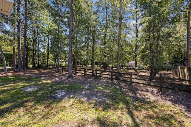 62 Warbler St, Georgetown, SC 29440 - view of yard