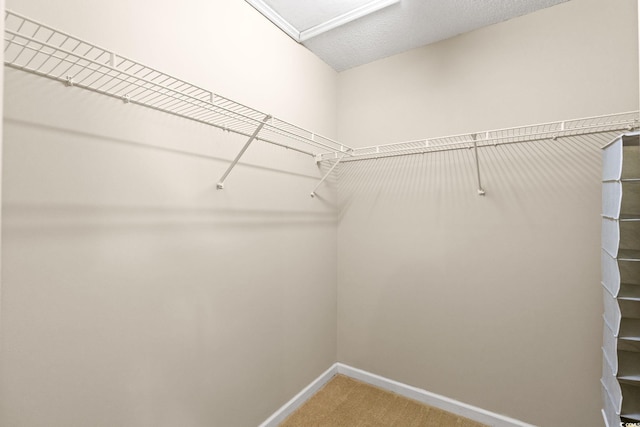 spacious closet with light colored carpet