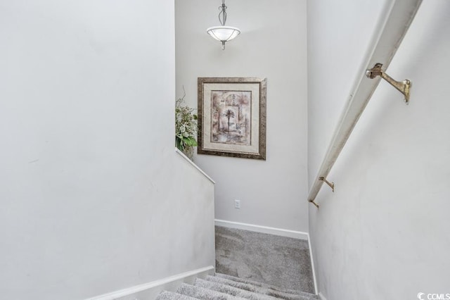 404 1st Ave N Unit H, North Myrtle Beach, SC 29582 - stairway with carpet floors and baseboards