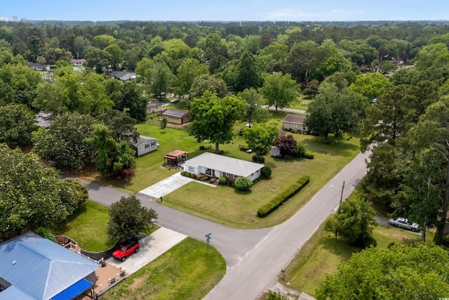 bird's eye view of a forest