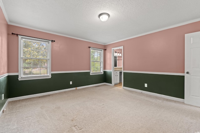 spare room with crown molding, carpet floors, a textured ceiling, and baseboards