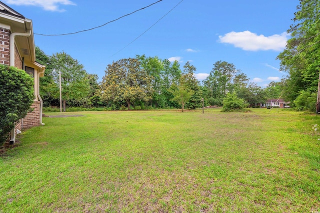 view of green lawn