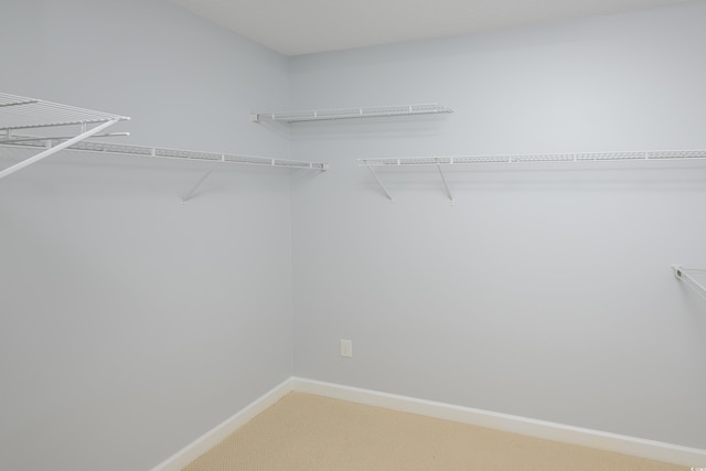 249 Ashepoo Creek Dr, Myrtle Beach, SC 29579 - walk in closet featuring light carpet