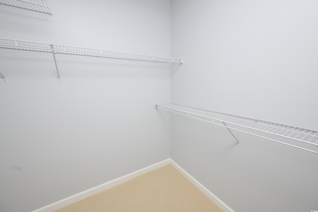 249 Ashepoo Creek Dr, Myrtle Beach, SC 29579 - walk in closet featuring light carpet