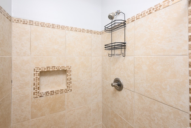 249 Ashepoo Creek Dr, Myrtle Beach, SC 29579 - bathroom with a tile shower
