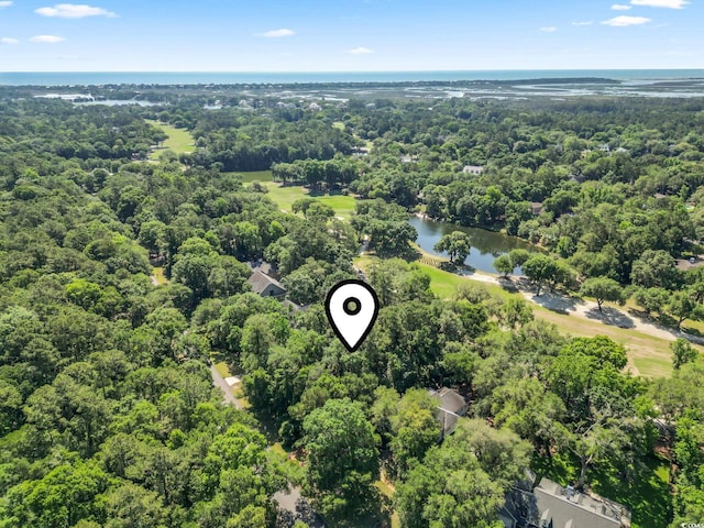 15 Wallace Pate Dr, Georgetown, SC 29440