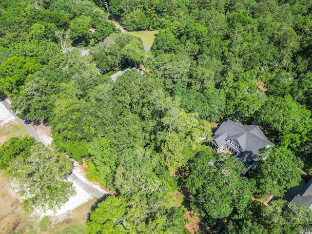 15 Wallace Pate Dr, Georgetown, SC 29440