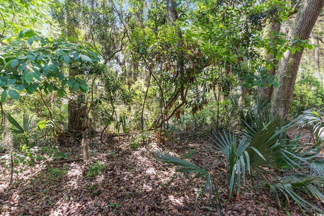 15 Wallace Pate Dr, Georgetown, SC 29440