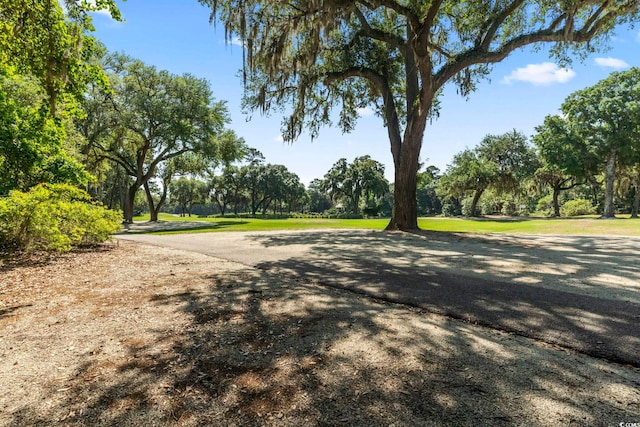 15 Wallace Pate Dr, Georgetown, SC 29440