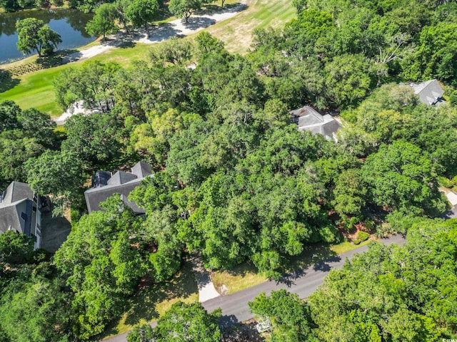 15 Wallace Pate Dr, Georgetown, SC 29440