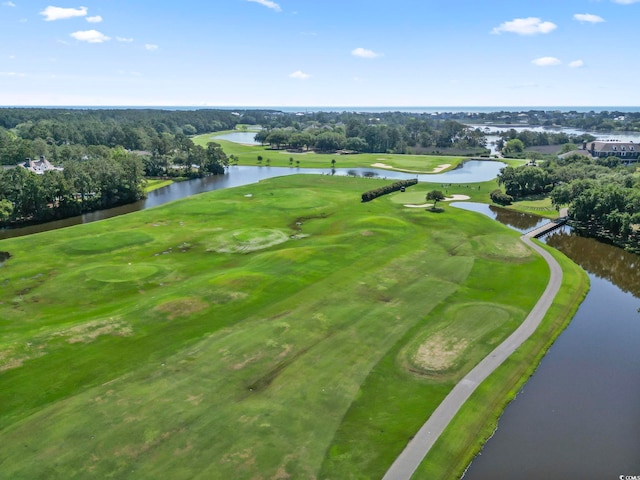 15 Wallace Pate Dr, Georgetown, SC 29440