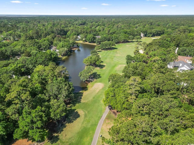 15 Wallace Pate Dr, Georgetown, SC 29440