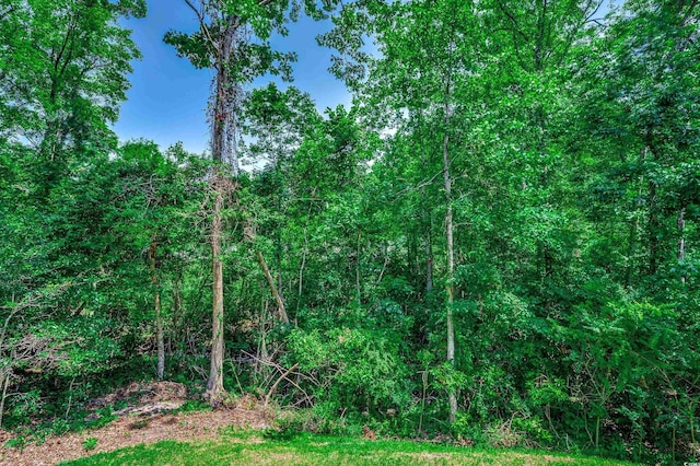 1673 Carriage Ln, Little River, SC 29566 - view of local wilderness