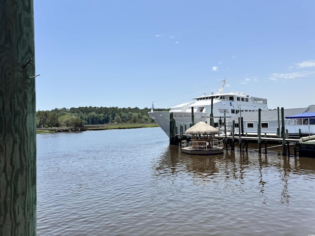 1673 Carriage Ln, Little River, SC 29566 - dock area with a water view