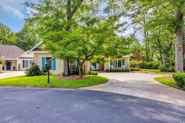 444 Dornoch Dr, Pawleys Island, SC 29585 - view of property hidden behind natural elements with curved driveway, stucco siding, and a front lawn
