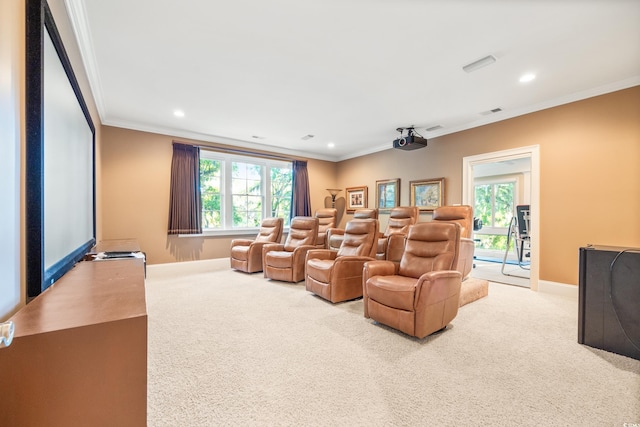 509 Heston Point Dr, Pawleys Island, SC 29585 - carpeted cinema with crown molding, baseboards, plenty of natural light, and recessed lighting