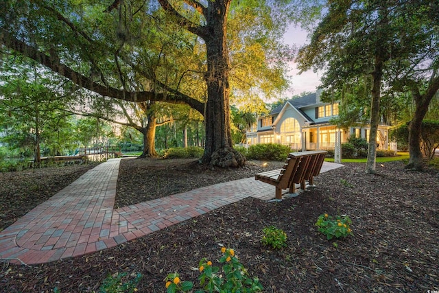 509 Heston Point Dr, Pawleys Island, SC 29585 - view of yard