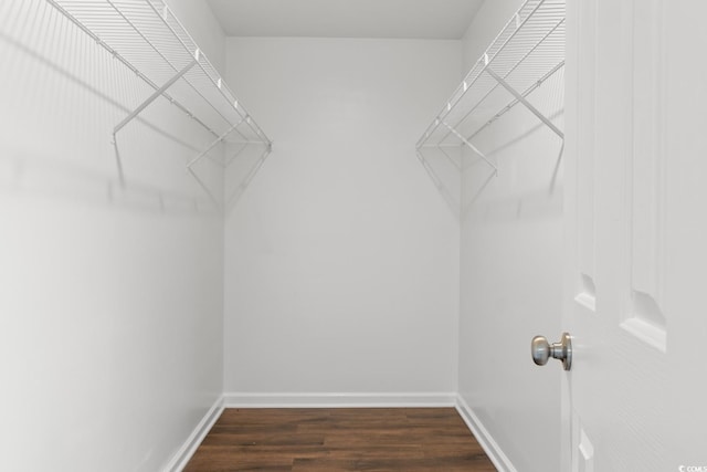 2072 Haystack Way, Myrtle Beach, SC 29579 - walk in closet with dark wood-type flooring
