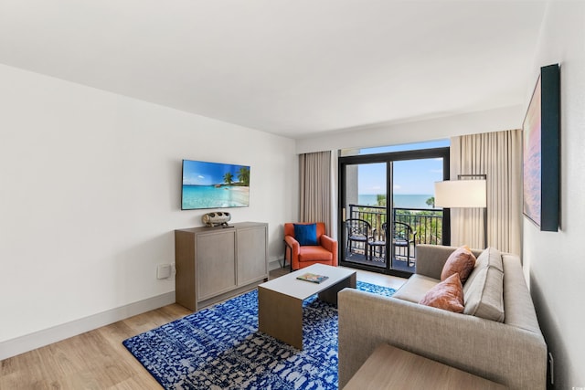 7100 N Ocean Blvd N Unit 321, Myrtle Beach, SC 29572 - living area with light wood finished floors and baseboards