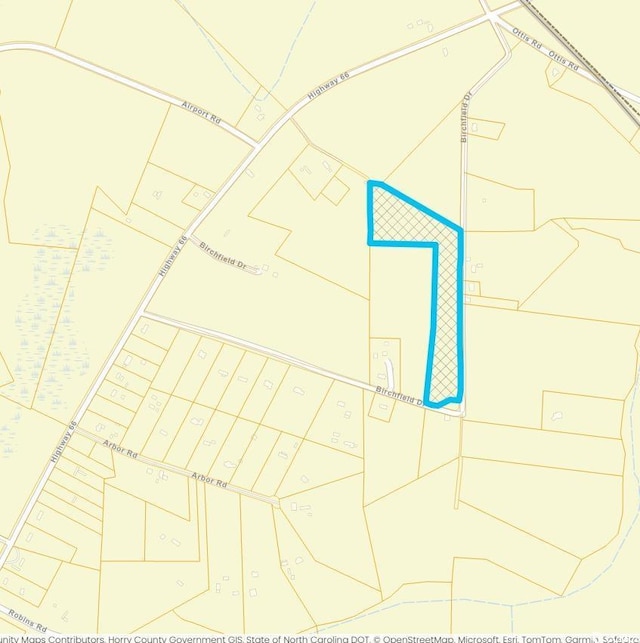 TBD Birchfield Dr, Loris, SC 29569