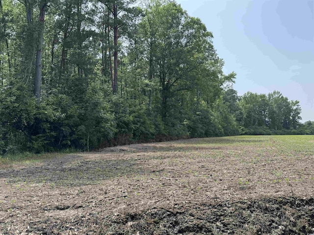 TBD Birchfield Dr, Loris, SC 29569