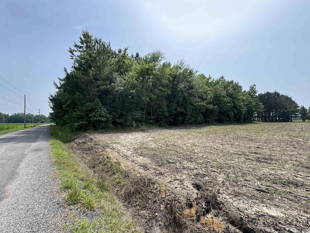 TBD Birchfield Dr, Loris, SC 29569