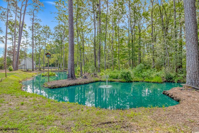 3827 El Duce Pl, Myrtle Beach, SC 29588 - view of swimming pool