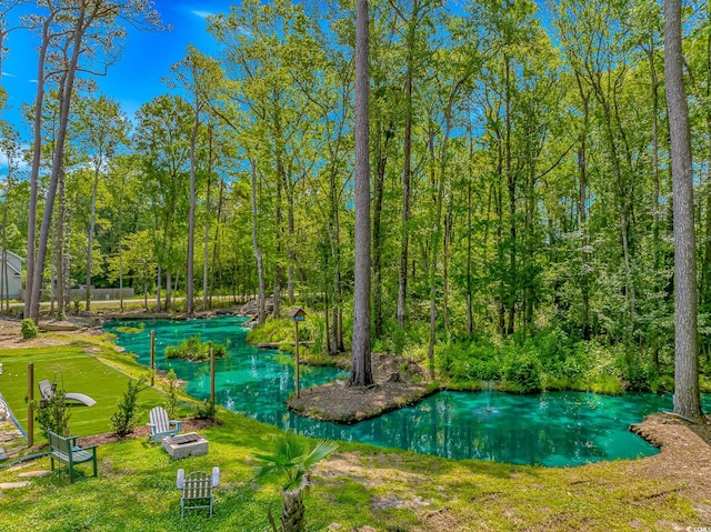 3827 El Duce Pl, Myrtle Beach, SC 29588 - view of pool with a view of trees