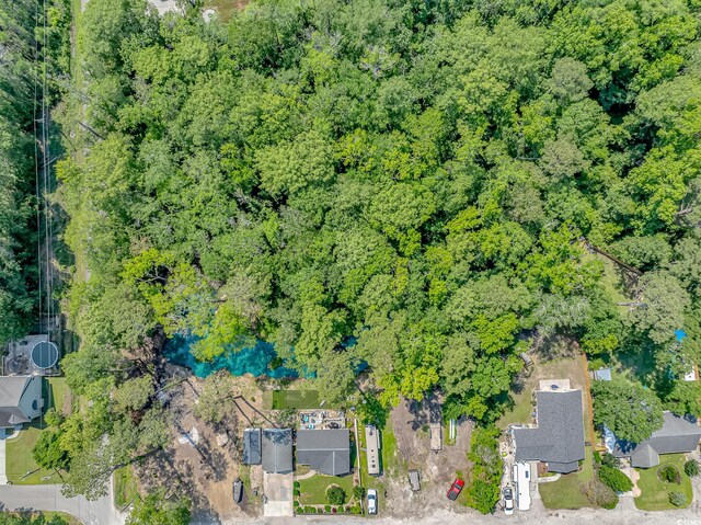 3827 El Duce Pl, Myrtle Beach, SC 29588 - drone / aerial view of a forest