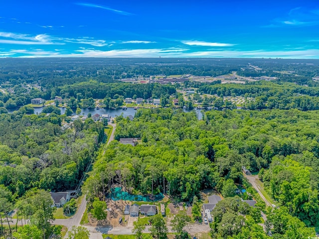 3827 El Duce Pl, Myrtle Beach, SC 29588 - aerial view of a nearby body of water and a forest