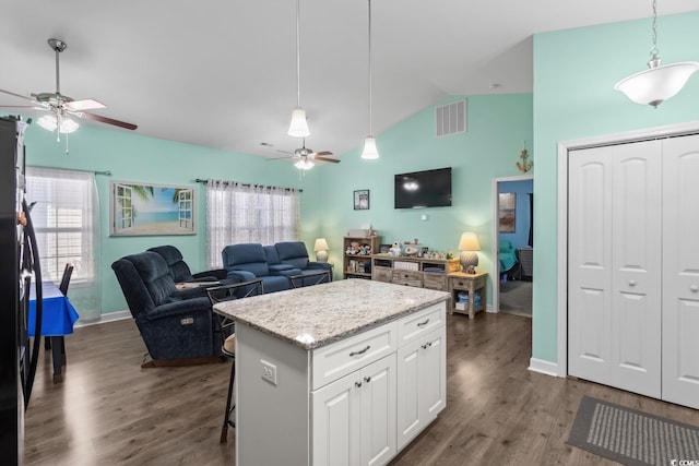 4338 Grande Harbour Blvd, Little River, SC 29566 - kitchen featuring ceiling fan, vaulted ceiling, healthy amount of natural light, and dark wood-style flooring