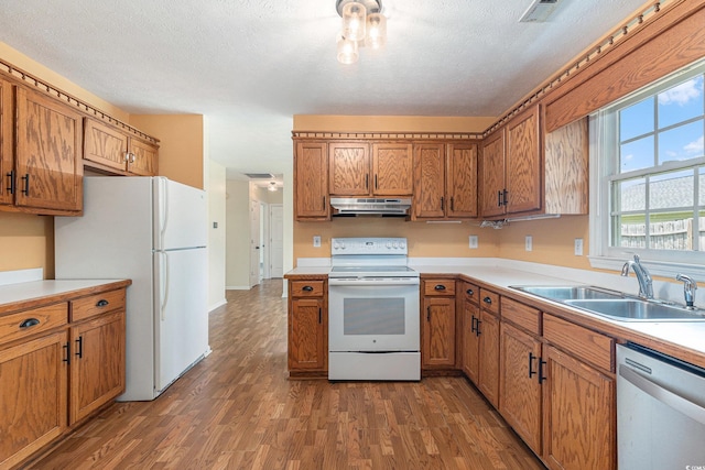 3429 Mishoe St, Loris, SC 29569 - kitchen featuring white appliances, under cabinet range hood, wood finished floors, brown cabinetry, and light countertops