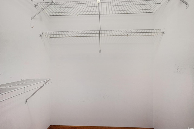 4311 Bradford Cir, Myrtle Beach, SC 29588 - view of spacious closet
