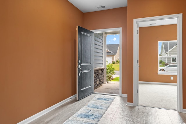 3021 Sistine St, Myrtle Beach, SC 29579 - foyer featuring wood finished floors, plenty of natural light, and baseboards