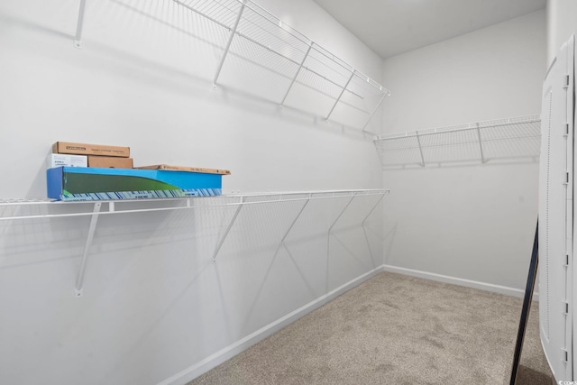 3021 Sistine St, Myrtle Beach, SC 29579 - spacious closet featuring carpet floors
