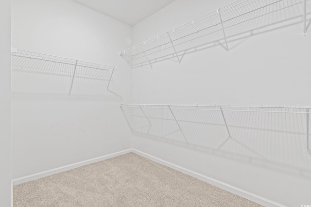 3021 Sistine St, Myrtle Beach, SC 29579 - spacious closet featuring carpet floors