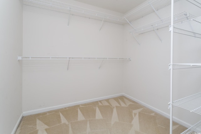 1044 Vestry Dr, Murrells Inlet, SC 29576 - spacious closet featuring carpet flooring