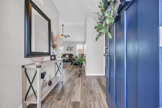 1451 Virginia Pine Dr, Longs, SC 29568 - entrance foyer featuring wood finished floors, ceiling fan, and baseboards